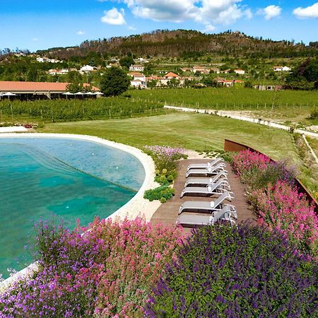 Lavandeira Douro Nature & Wellness Ancede エクステリア 写真