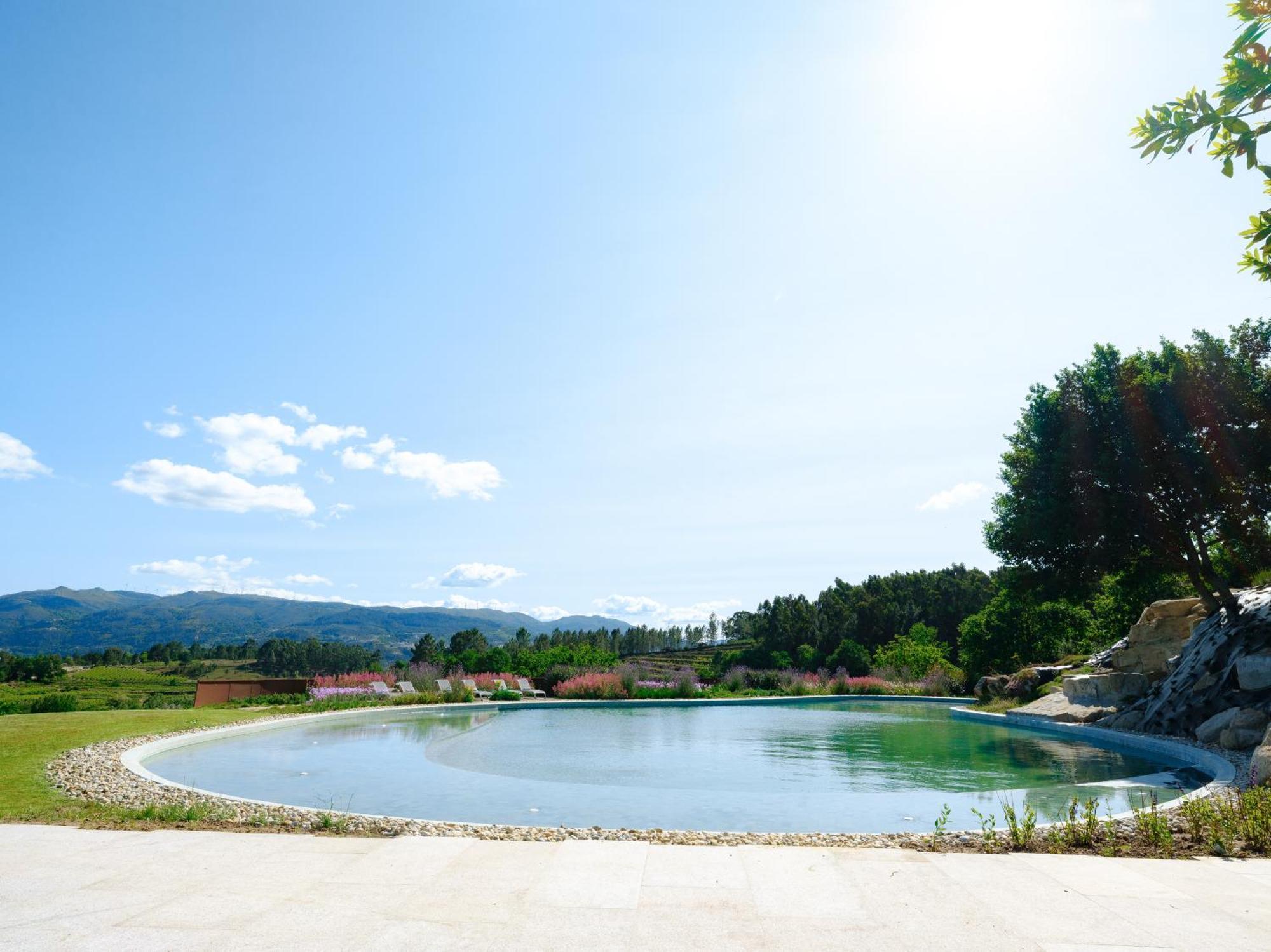Lavandeira Douro Nature & Wellness Ancede エクステリア 写真