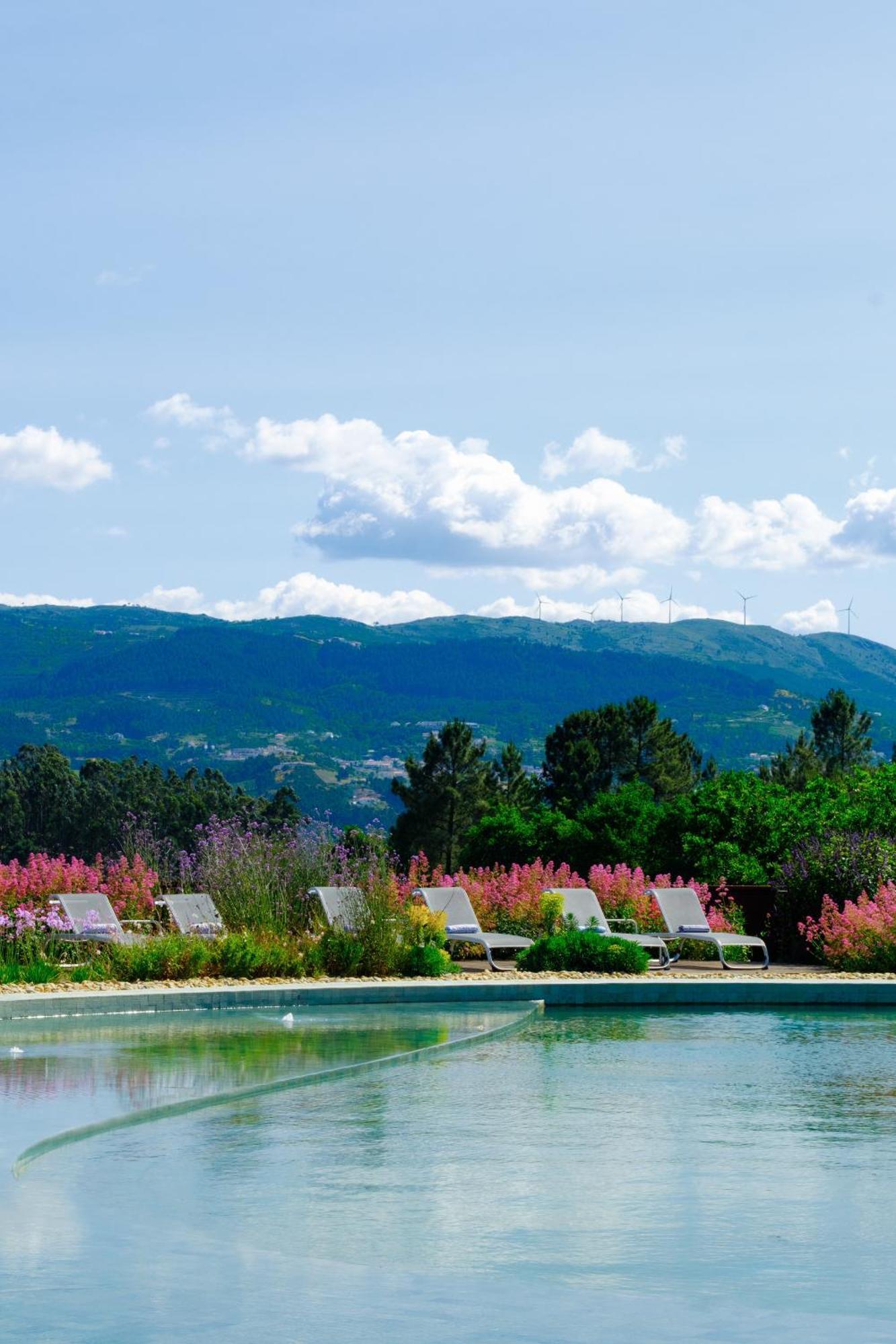 Lavandeira Douro Nature & Wellness Ancede エクステリア 写真
